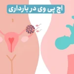 اچ پی وی در بارداری | خطرات ویروس اچ پی وی (HPV) برای جنین