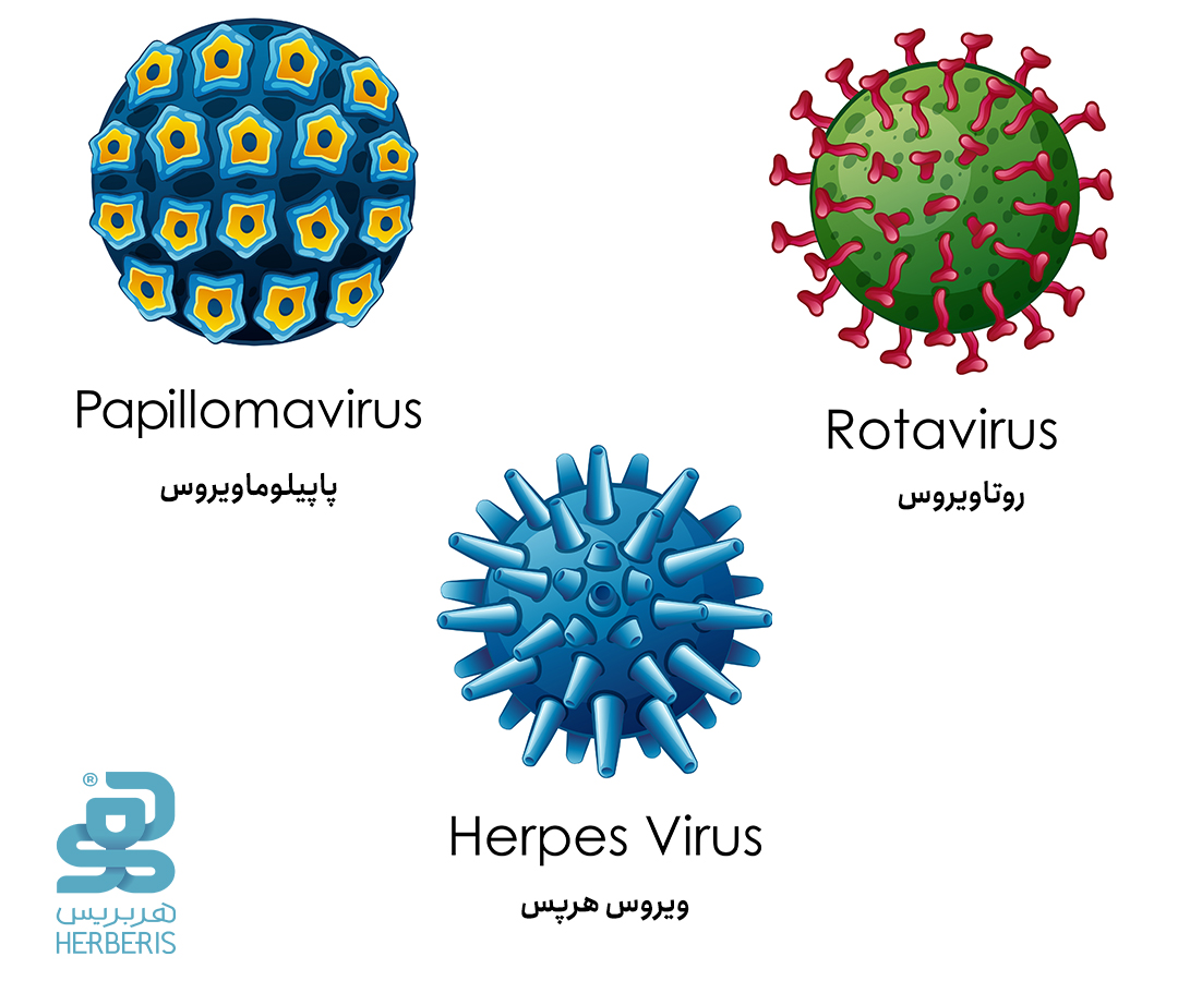 انواع اچ پی وی HPV